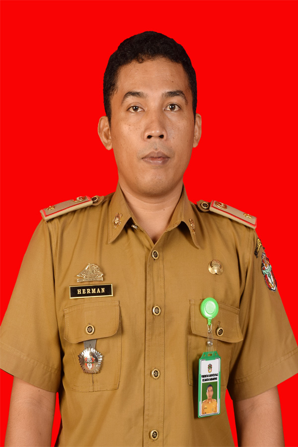 HERMAN, S.Pd.,S.Sos.,M.Si.